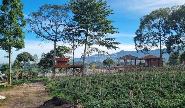 Tanah Kavling Kebun Teh Puncak Siap Bangun  1