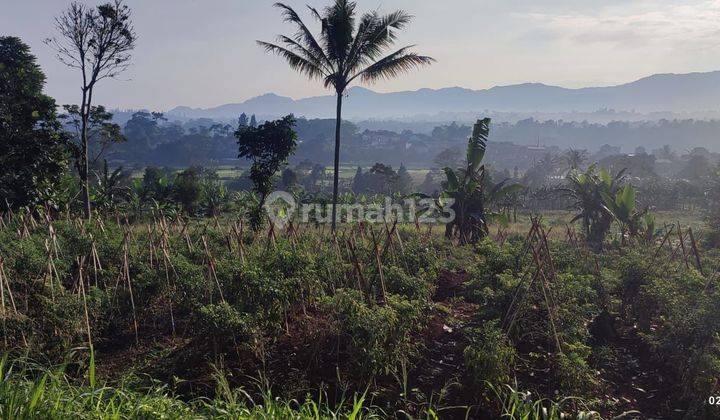 Jual Tanah BU SHM 2.3 Ha di Megamendung Puncak Bogor 1