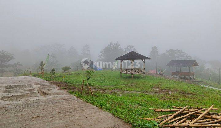 Tanah Murah View Mempesona di Jalur Puncak II Bogor