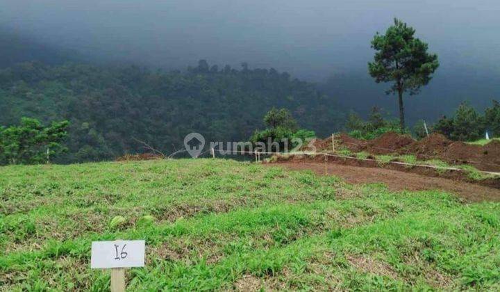 Tanah Kavling Desa Wisata Panoramic Highland Puncak 1000 Mdpl