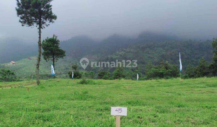 Tanah Kavling Desa Wisata Panoramic Highland Puncak 1000 Mdpl