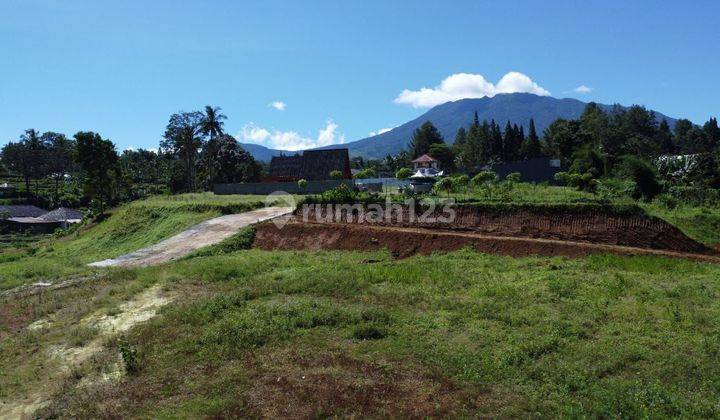 Tanah 100 SHM m² di Puncak Bogor Jawa Barat