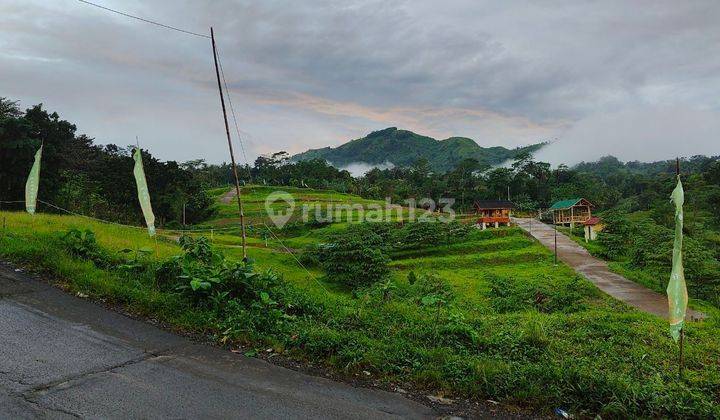 Tanah Kavling Villa Mahkota Alam Puncak 2 Bogor 2