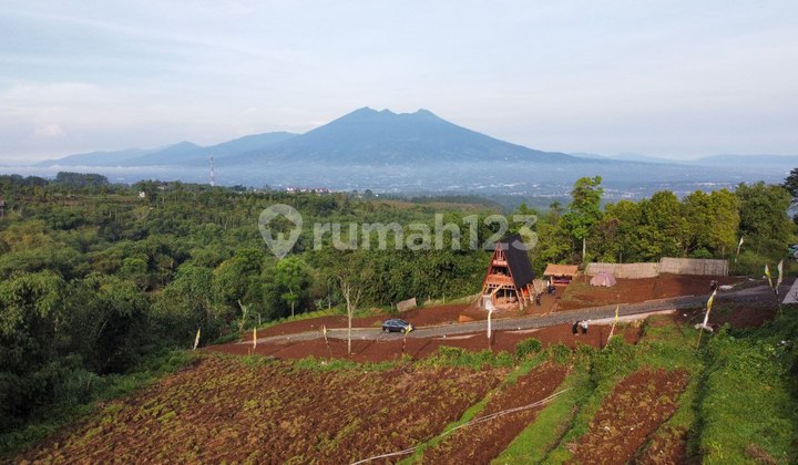 Sell Aesthetic Villa In Ciaw Puncak Bogor 850 Mdpl