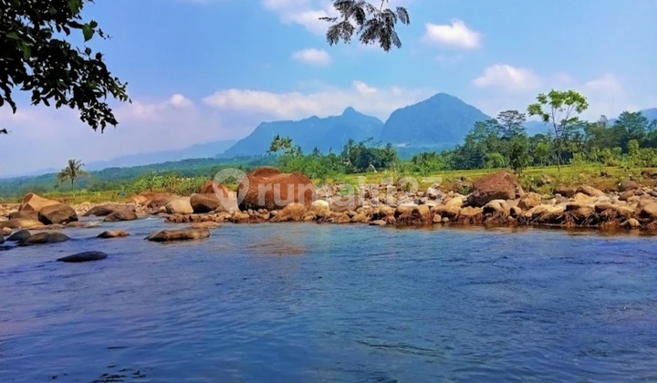 Jual Tanah Murah di Desa Wisata Alam Puncak 2 Bogor