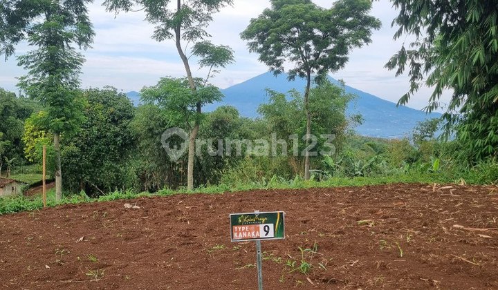 Sell Villa Aesthetic Slow Living Kalamaya Ecolodge Puncak Bogor