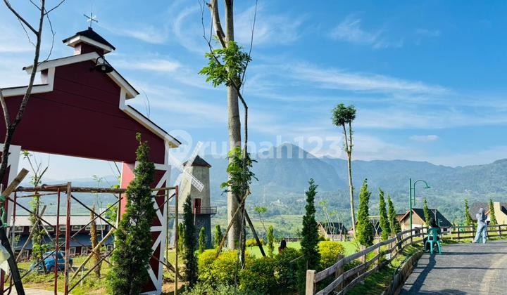 Rustic Land with Swiss View Vibes Sold Cheap