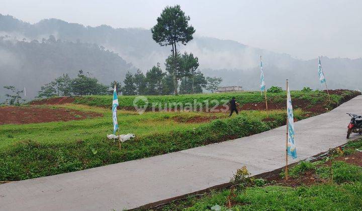 Tanah SHM Di Kawasan Wisata Alam 1000 Mdpl  2