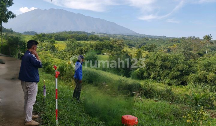 Dijual Tanah Murah di Ciawi Puncak Bogor
