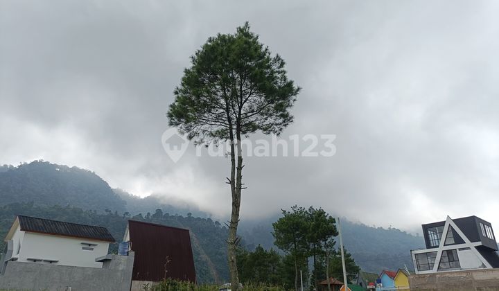 Sell Cheap Certificate Villa in Puncak 1000 Meters Above Sea Level Bogor Sell Cheap Certificate Villa in Puncak 1000 Meters Above Sea Level Bogor