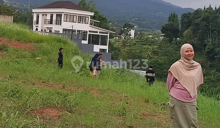 Jual Tanah Di Ciawi S H M 800 Mdpl Udara Sejuk 2