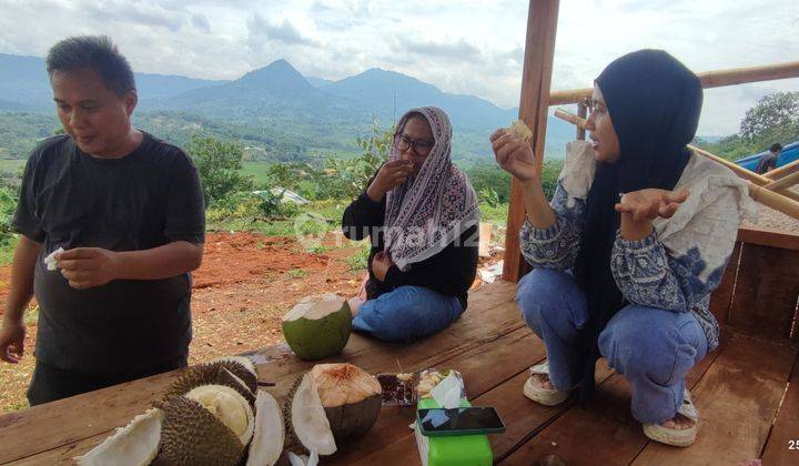 Tanah SHM Di Kawasan Wisata Alam View Sawah Dan Pegunungan  1