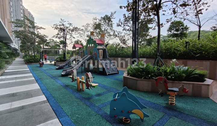 For Rent Marigold Apt 1 Br, Navapark, BSD, Furnished