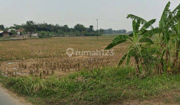 Tanah Perumahan Subsidi Jalan Tegal Sari Di Kerawang 2