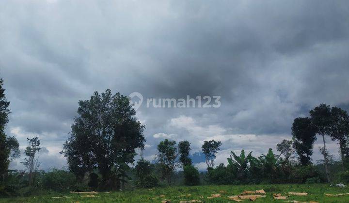 Tanah Siap Olah Lokasi Ds Grabag Kopeng 1