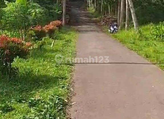 Tanah Siap Olah Lokasi Ds Losari Kab Grabag Dekat Kopeng 1