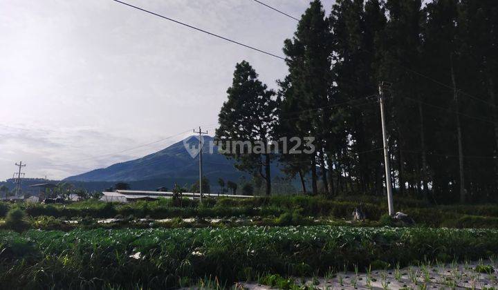 Tanah View 4 Sisi Lokasi Ds Bagongan Kopeng 2