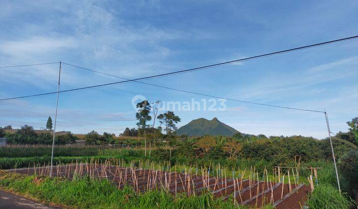 Tanah View 4 Sisi Lokasi Ds Bagongan Kopeng 1
