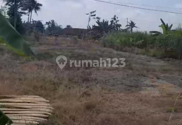 Land for sale, suitable for housing in Jatirunggo Village, Pringapus. 1