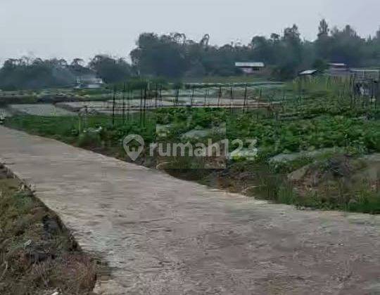 Tanah View Gunung Lokasi Ds Kragilan Kopeng 1
