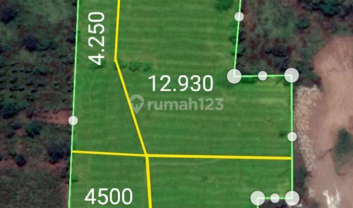 Tanah di Desa Danawarih , Tegal Arah Ke Guci 2