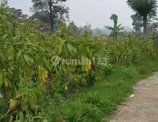 Tanah View Gunung Lokasi Ds Kragilan Kopeng 2