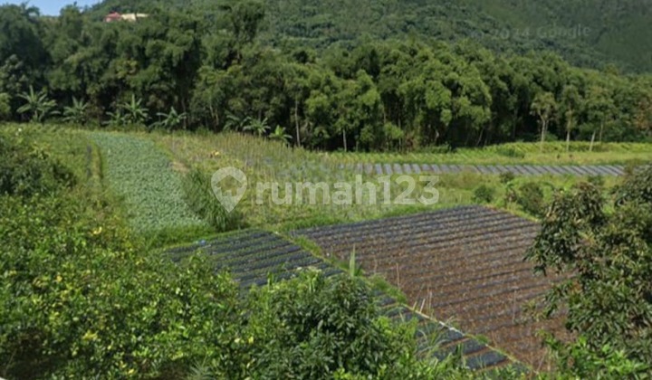 Tanah View 4 Mountains Location Digulan Village Kopeng Tanah View 4 Mountains Location Digulan Village Kopeng