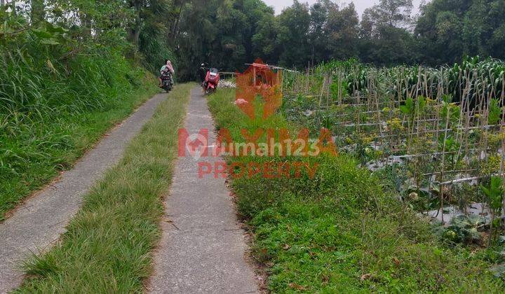 Tanah Murah Siap Olah, SHM Lokasi Kopeng Salatiga 2