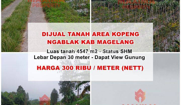 Tanah Murah Siap Olah, SHM Lokasi Kopeng Salatiga 1