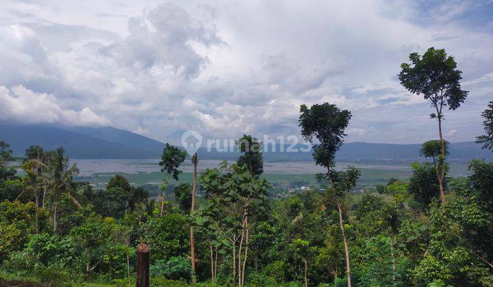 Tanah View Rawa Pening dan Gunung Lokasi Ds Lopait Tuntang 1