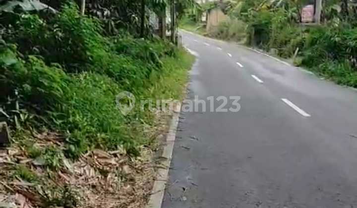Tanah Pinggir Jalan Provinsi Ds Mangun, Pakis Kab Magelang Dekat Kopeng 1