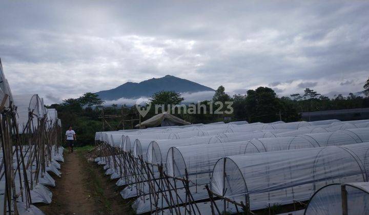 Tanah Siap Olah SHM Pekarangan Lokasi Ds Kaponan Kopeng 1