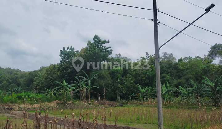 Tanah Cocok Untuk Bisnis Agrowisata atau Perkebunan Lokasi Boyolali