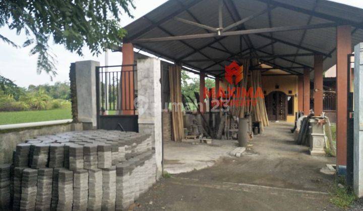 Rumah Lokasi Strategis di Jalan Raya Sragi, Pekalongan 2