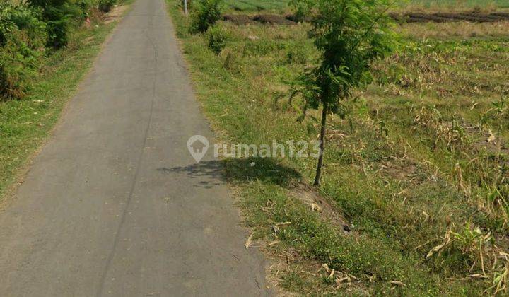 Tanah Siap Olah di Jalan Jatibarang, Brebes  2