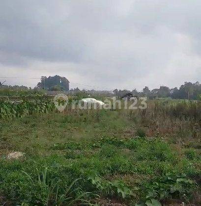 Tanah View Gunung Lokasi Ds Banaran Kopeng  2
