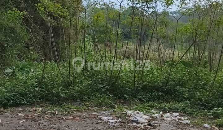 Tanah Industri Siap Olah Lokasi Wringin Ngobo Kabupaten Semarang