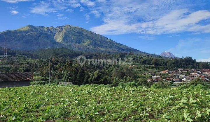 Tanah View Gunung di Jalan Raya Wonosari Pakis, Kopeng Salatiga 1