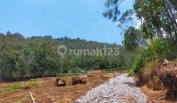 Tanah View 4 Gunung Lokasi Ds Cuntel Kopeng, Kab Semarang Tanah View 4 Gunung Lokasi Ds Cuntel Kopeng, Kab Semarang