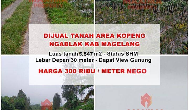 Tanah Murah Siap Olah, SHM Lokasi Kopeng Salatiga 1