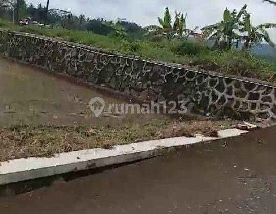 Tanah Sawah Produktif  2