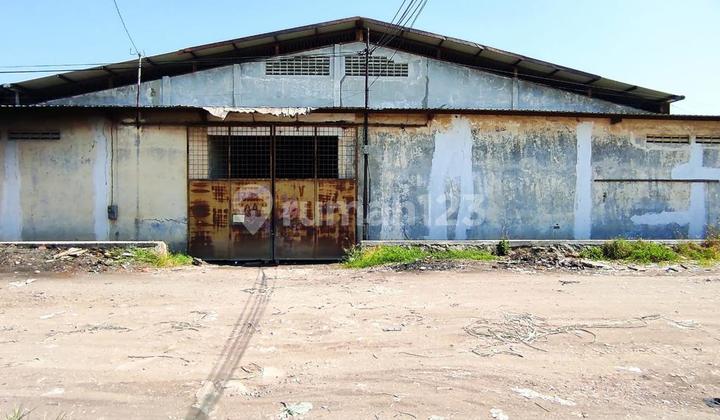 Gudang di Kawasan Pangkalan Truk, Genuk Semarang 1