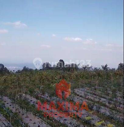 Tanah SHM Area Kopeng Salatiga View 4 Gunung 2