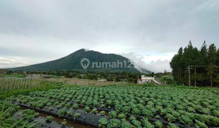 Tanah View 4 Gunung Lokasi Ds Tanggulangin Kopeng Salatiga 1