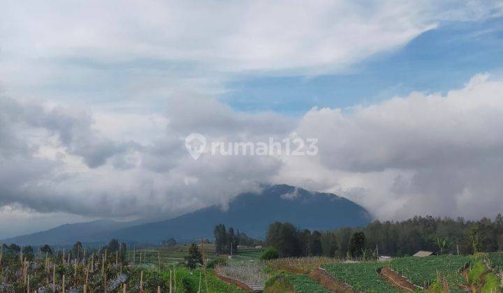 Tanah View 7 Gunung Lokasi Kopeng Atas Cafe Cerita Kita 1