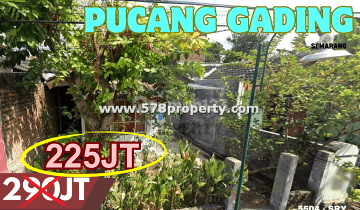 Dijual Segera Rumah Bangunan Lama Pucang Gading, Mranggen, Semarang 1