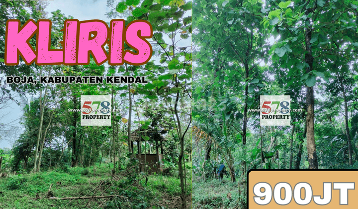 Dijual Tanah Desa Kliris, Kec. Boja, Kabupaten Kendal 1