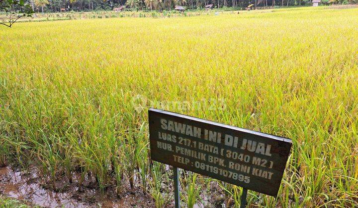 DIJUAL SAWAH ,LOKASI STRATEGIS SUBUR DAN  MENGHASILKAN  2