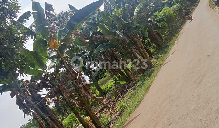 For Sale: Empty Land by the Roadside in Jonggol Cileungsi CCK, Suitable for Hospital, Warehousing, or Factory, Flood-Free, Level Ground, Strategic Location. For Sale: Empty Land by the Roadside in Jonggol Cileungsi CCK, Suitable for Hospital, Warehousing, or Factory, Flood-Free, Level Ground, Strategic Location.