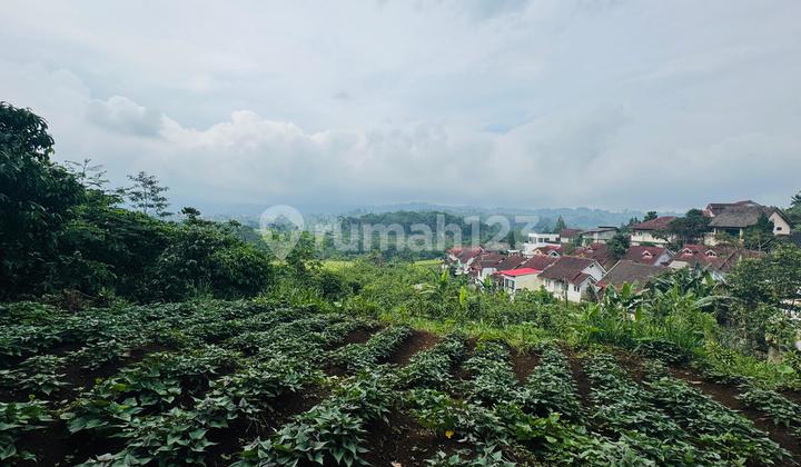 Dijual Lahan Kosong di Villa Cheery 2, Cipayung Puncak , Dekat Taman Bungan Cipanas Dijual Lahan Kosong di Villa Cheery 2, Cipayung Puncak , Dekat Taman Bungan Cipanas